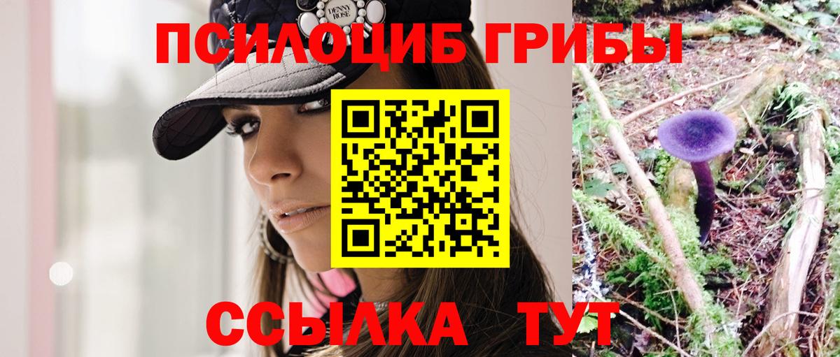 Новокузнецк  Галлюциногенные грибы Psilocybe  Вход с VPN  Галлюциногенные грибы Psilocybe 