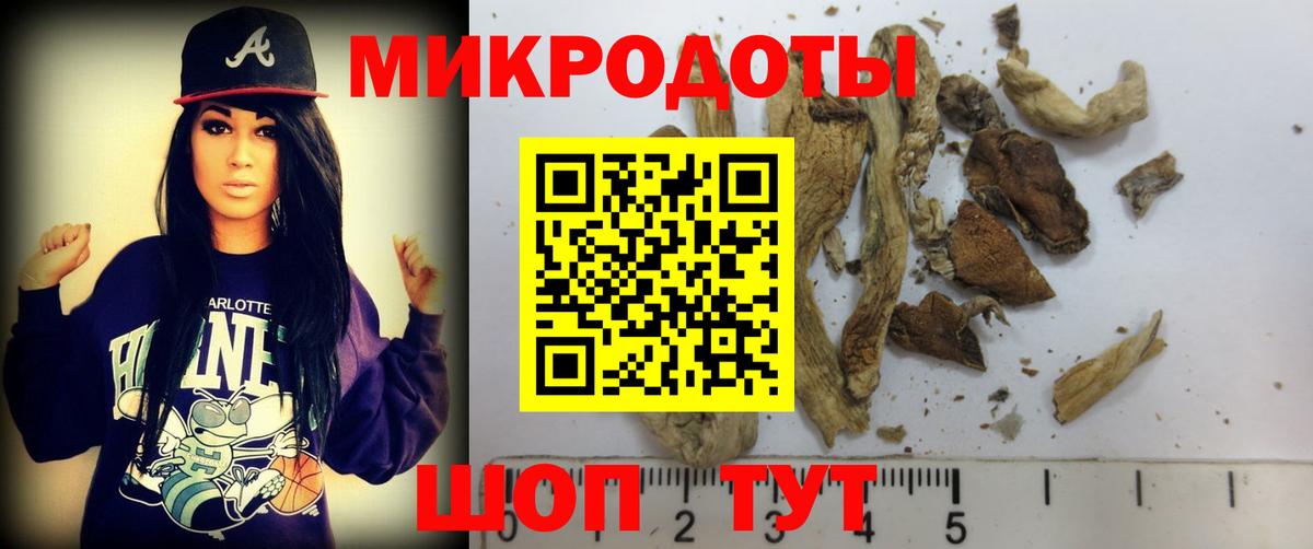 Галлюциногенные грибы мицелий Новокузнецк