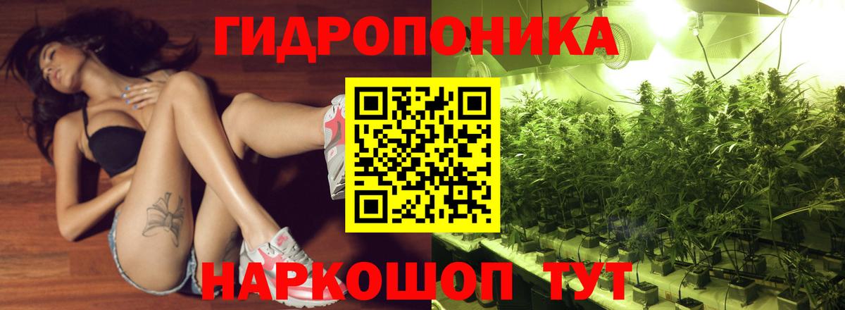 Конопля Amnesia  Конопля индика  МАРИХУАНА сатива  Новокузнецк  Бошки марихуана индика  Вход с VPN 